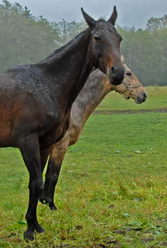 Akpay