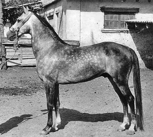 992 Karash (1976) 992 Karash (1976)