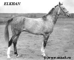 Elkhan Elkhan