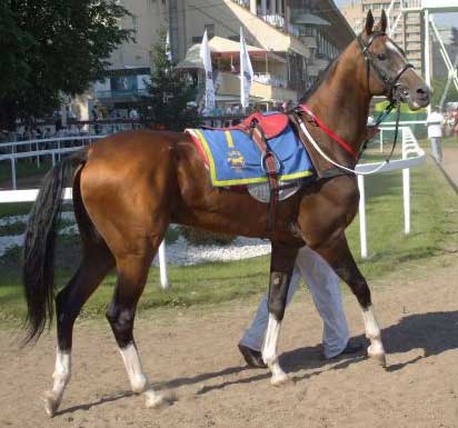 Aksay/ÐкÑаи Aksay/ÐкÑаи