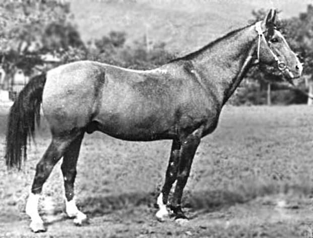 keimir keimir