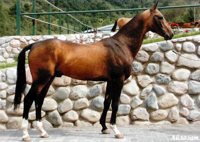 Ailazat