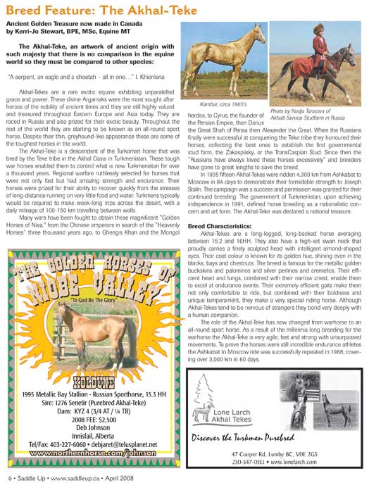 Saddle Up Saddle Up