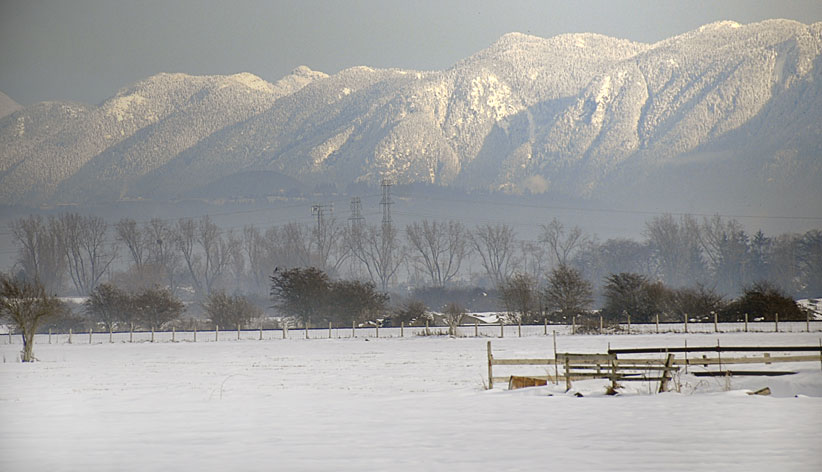 winter view