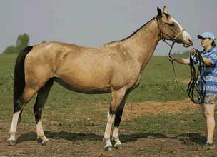 Agiay