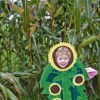 laity pumpkin patch