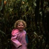 laity pumpkin patch