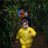 laity pumpkin patch