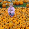 laity pumpkin patch