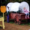 laity pumpkin patch