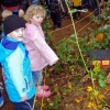 laity pumpkin patch